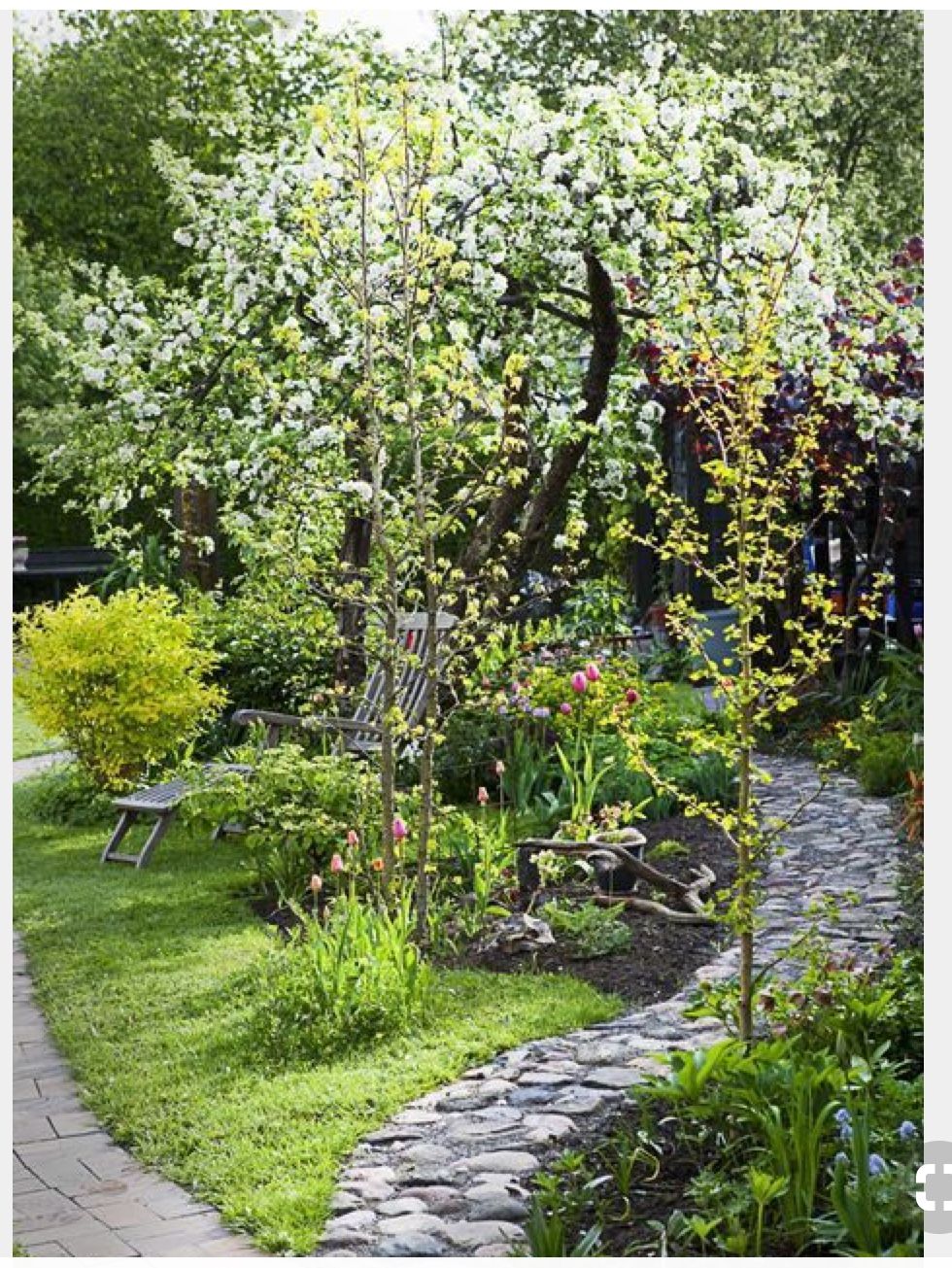 BIRCHST LLC